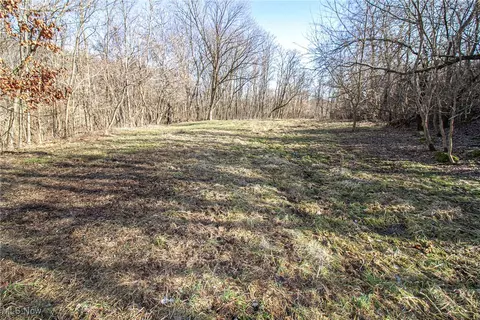 0 Jewett Germano Rd, Jewett, OH 43986