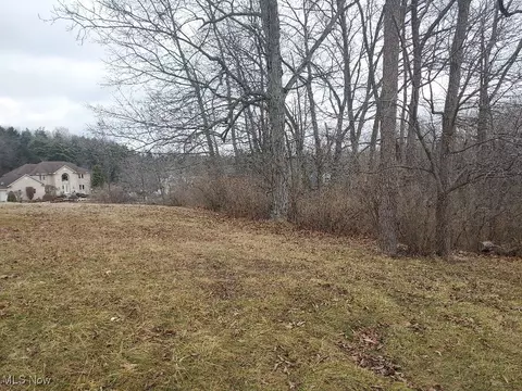 Ivy Hill Drive, Boardman, OH 44514 photo 3