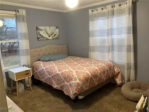 112 Sunset Dr, Lodi, OH 44254 photo 10