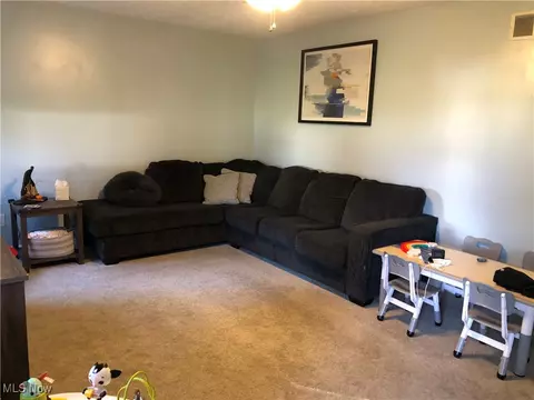 3985 Atlantic Ave, Ashtabula, OH 44004 photo 8