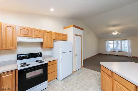 118 Ashfield Ct, Elyria, OH 44035 photo 13