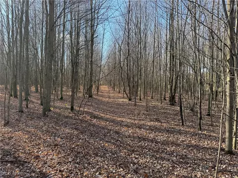 V/l Brown Road, Ashtabula, OH 44004
