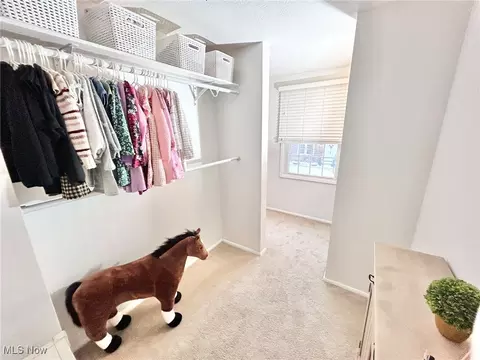 Other - 7383 Willow Run Dr, Mentor, OH 44060 photo 6 of 7