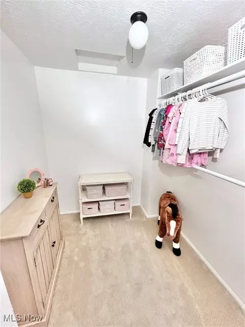 Other - 7383 Willow Run Dr, Mentor, OH 44060 photo 7 of 7