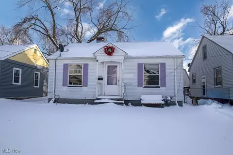 13333 Carrington Ave, Cleveland, OH 44135