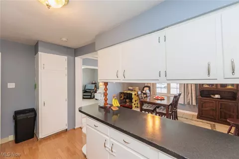 17 E Chestnut St, Norwalk, OH 44857 photo 19