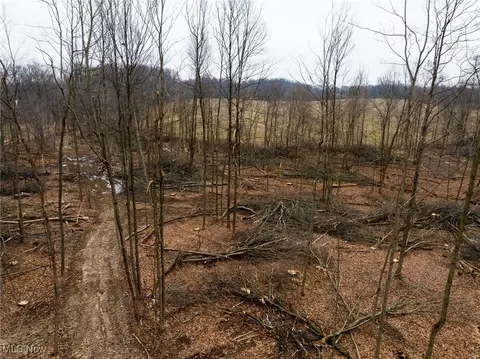 County Road 1101, Nova, OH 44859 photo 23