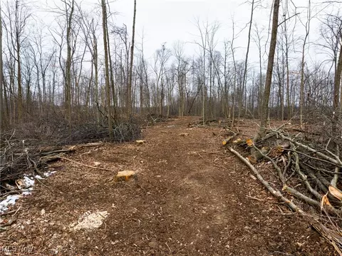 County Road 1101, Nova, OH 44859 photo 24