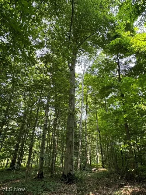 V/l 1 Rock Creek Road, Chardon, OH 44024