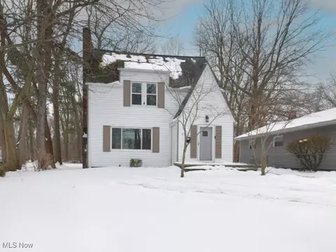 435 W Walnut Ave, Painesville, OH 44077