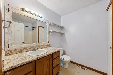 42017 Meadow Ln, Lagrange, OH 44050 photo 25