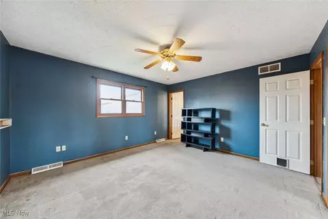 42017 Meadow Ln, Lagrange, OH 44050 photo 21