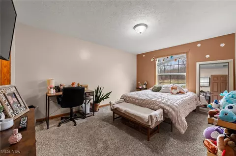 Bedroom - 40308 Whitney Rd, Lagrange, OH 44050 photo 3 of 5