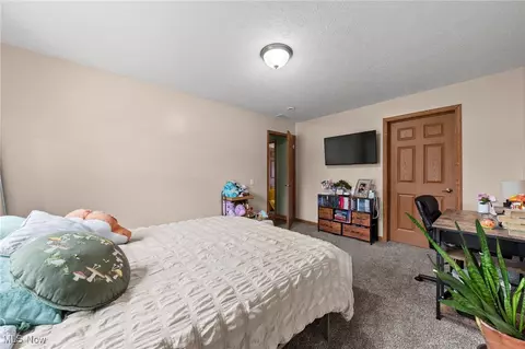Bedroom - 40308 Whitney Rd, Lagrange, OH 44050 photo 4 of 5