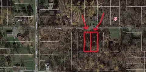 Smith Road, Williamsfield, OH 44093