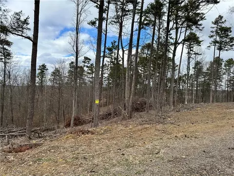 0 Fisher Ridge Rd Tract 1, Fleming, OH 45729