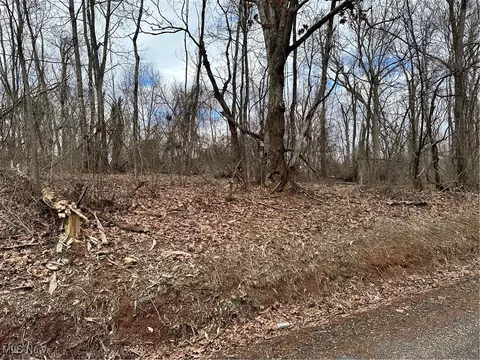 0 Fisher Ridge Rd Tract 4, Fleming, OH 45729