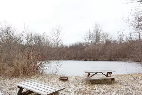 V/l Mcmackin Road, Madison, OH 44057