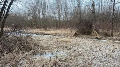 Dunham Road E, Litchfield, OH 44253 photo 5