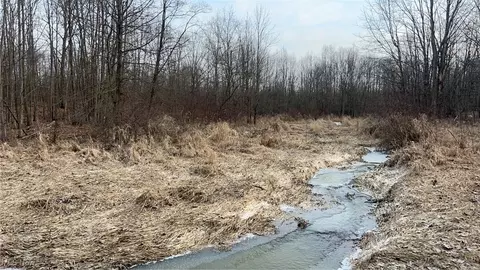 Dunham Road E, Litchfield, OH 44253 photo 2