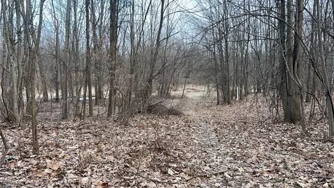 Dunham Road E, Litchfield, OH 44253 photo 3