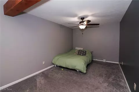 4577 E Maple Rd, Geneva, OH 44041 photo 38