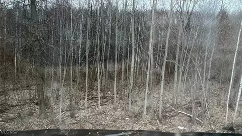 917 Oak Point Cir, Elyria, OH 44035 photo 7