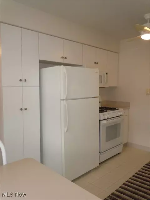 851 E 258th St, Euclid, OH 44132 photo 3