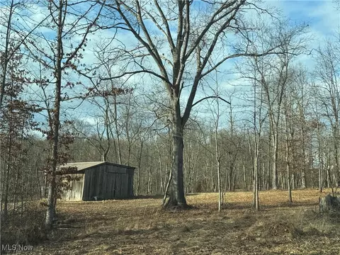 Briarbey Lane, Fleming, OH 45729 photo 4