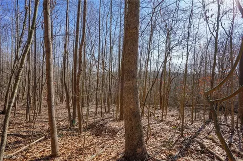 16 Dodds Rd, Piketon, OH 45646 photo 10