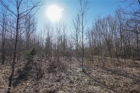 16 Dodds Rd, Piketon, OH 45646 photo 2