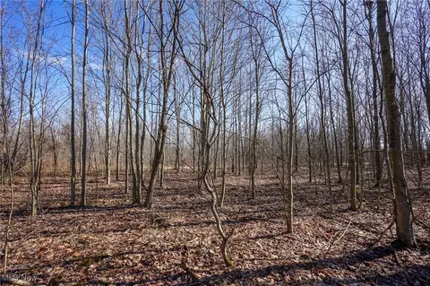 16 Dodds Rd, Piketon, OH 45646 photo 4