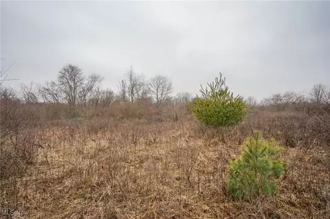 Red Lane Rd, Cumberland, OH 43732