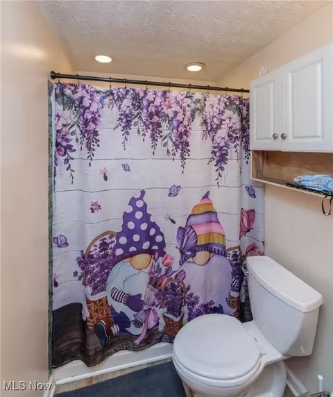 953 Salem Ave, Elyria, OH 44035 photo 29