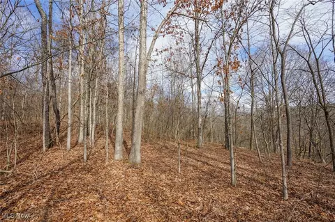 Jackson Fork Rd, South Webster, OH 45682