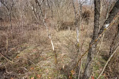 Jackson Fork Rd, South Webster, OH 45682
