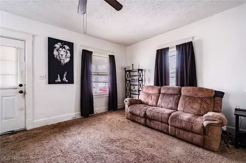 306 Maplewood Ave, Struthers, OH 44471 photo 8