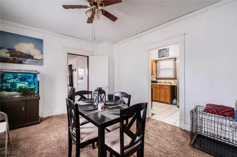 306 Maplewood Ave, Struthers, OH 44471 photo 17