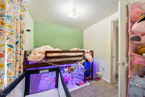 21001 Priday, Euclid, OH 44123 photo 15