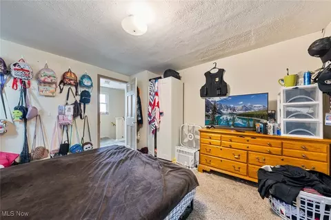 21001 Priday, Euclid, OH 44123 photo 13
