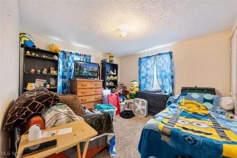 21001 Priday, Euclid, OH 44123 photo 16