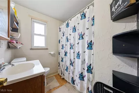 21001 Priday, Euclid, OH 44123 photo 19