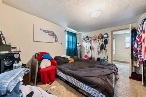 21001 Priday, Euclid, OH 44123 photo 12