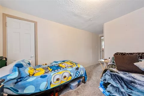 21001 Priday, Euclid, OH 44123 photo 17