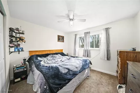 9818 Blanton Dr, Windham, OH 44288 photo 30