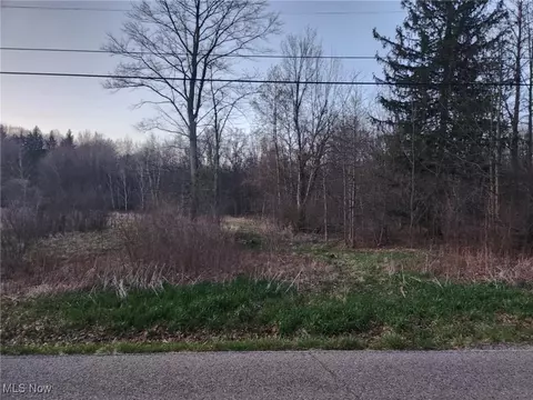 6498 Mcguffey Rd, Lowellville, OH 44436