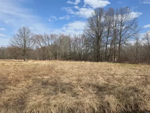 3366 Eagle Creek Rd, Leavittsburg, OH 44430