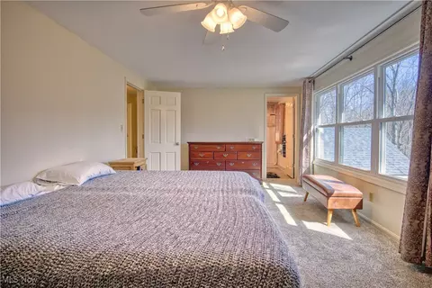 8010 Spartan Dr, Boardman, OH 44512 photo 18