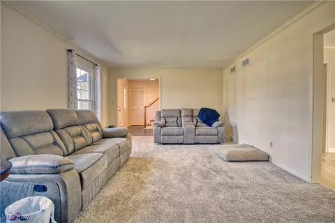 8010 Spartan Dr, Boardman, OH 44512 photo 6