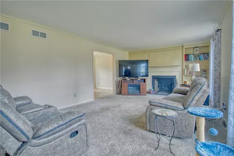 8010 Spartan Dr, Boardman, OH 44512 photo 4
